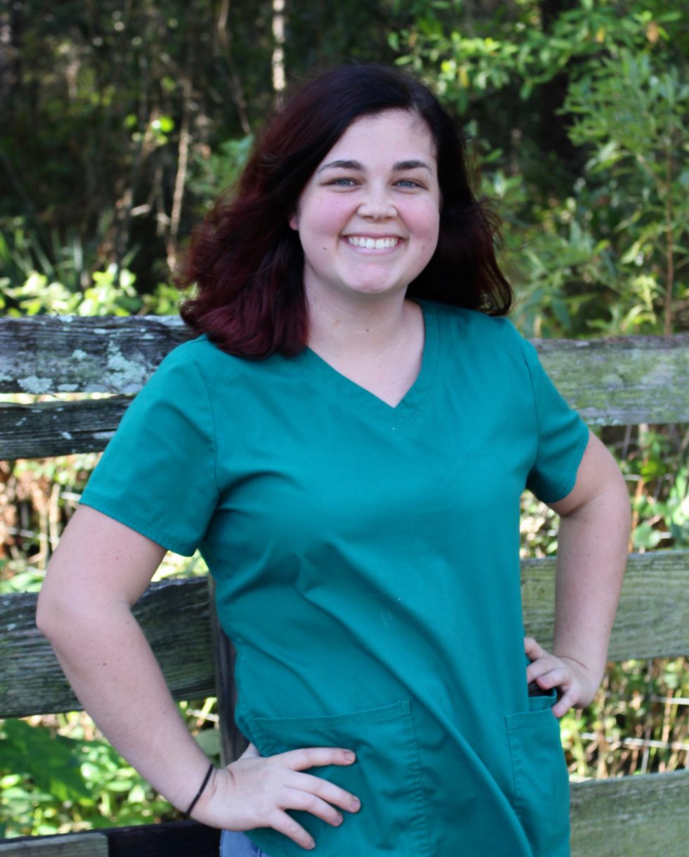 Our Support Team Brandon Equine Medical Center