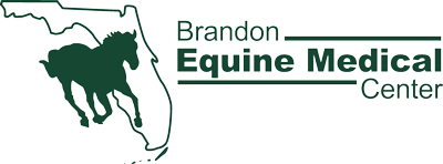 Brandon Equine Medical Center